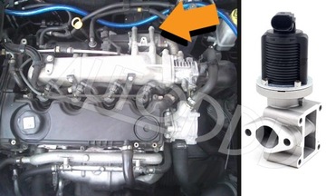 5 Прокладка EGR ALFA FIAT LANCIA OPEL 1.9 2.4 JTDM