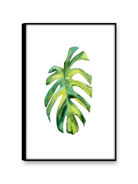 MONSTERA Obrazy na płótnie 30x45 Obraz nowoczesny