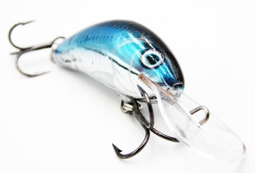 WOBLER SALMO HORNET 4S SBH PSTRĄG OKOŃ BYDGOSZCZ