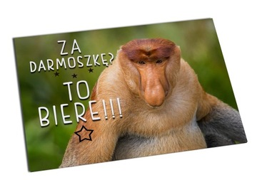 MAGNES na lodówkę JANUSZ NOSACZ 10x14 + KOPERTA