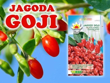 Семена быстрорастущих кустарников GOJI BERRIES