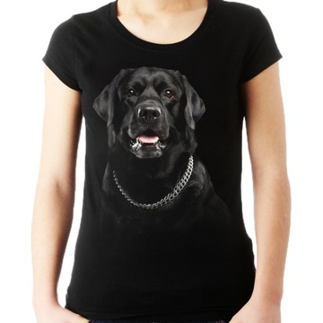 Koszulka z psem labradorem czarnym bluzka HQ -XL