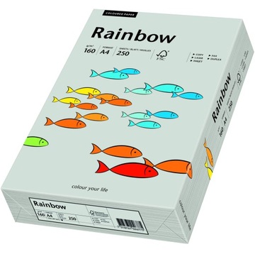 Papier do drukarki Rainbow A4 160g szary R96 250k