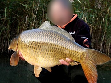 KARPIÓWKA MISTRALL STRATUS TELE CARP 3,9m / 40-80g