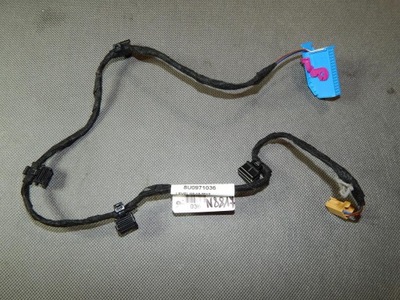 AUDI Q3 8U WIRE ASSEMBLY DOOR RIGHT FRONT 8U0971036 - milautoparts-fr.ukrlive.com