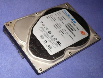 Dysk twardy ExcelStor 250GB 7200 LUBLIN