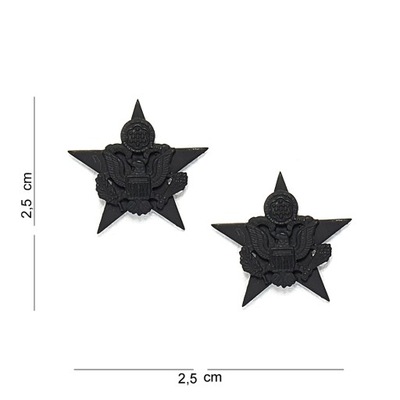 Odznaka korpusówka Army General Staff us army pin
