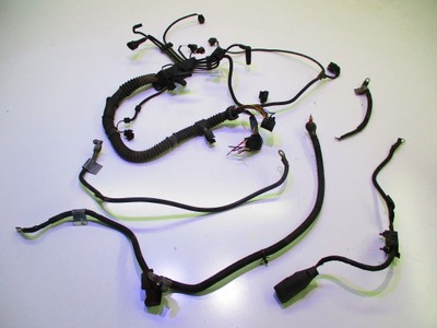 Land rover freelander 2.0 td4 электропроводка двигателя фото №1