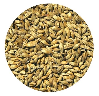 Słód RED ALE Viking Malt 1kg piwo domowe