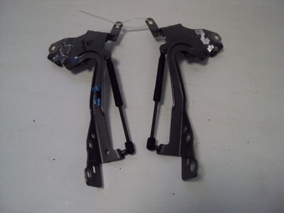 Петлі капот renault scenic iii фото №1