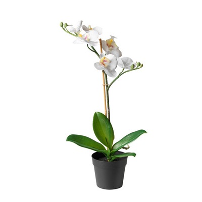 IKEA FEJKA STORCZYK ORCHIDEA Kolory 38cm!!!