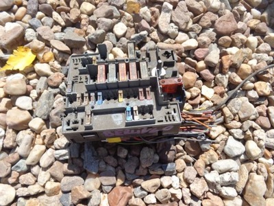 Citroen berlingo 2.0 hdi 00 коробка предохранителей фото №1