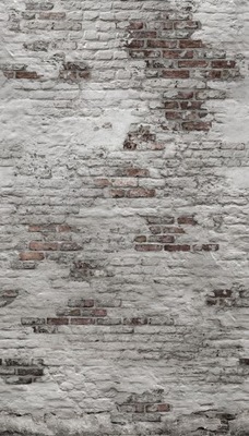 Fototapeta na flizelinie STARY MUR, cegły, ściana