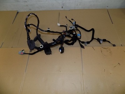 Jaguar 17r f-pace f pace джгут двері перед права фото №1