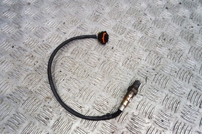 PORSCHE WITH 95B906203C PROBE - milautoparts-fr.ukrlive.com