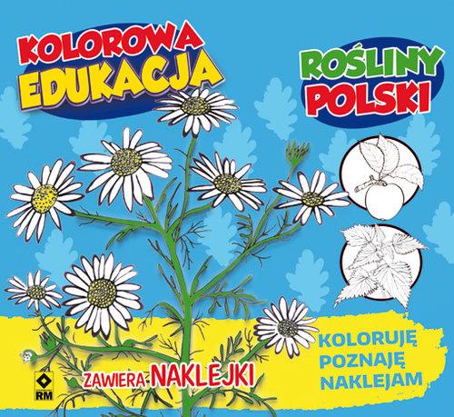 Rośliny Polski. Koloruję, poznaję, naklejam. Kolor