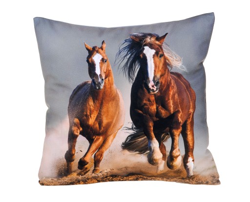 MX PILLOW 01 ​​LONDYM ФЛАГ ПАЛЬТО JASIEK 40X40
