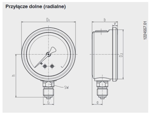 60 Bar MANOMETR CIŚNIENIA HYDRAULICZNY 63mm 1/4