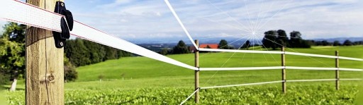 Pastuch Palik słupek z polipropylenu AKO TITAN 157 cm H biały z 2 szpicami