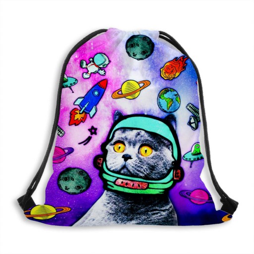 СУМКА РЮКЗАК ANIMALS W-C- 27 SPACE CAT PL