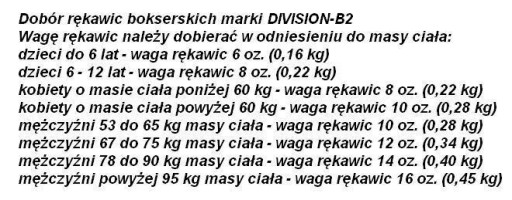 DIVISION-B2 SKÓRZANE RĘKAWICE BOKSERSKIE SG01 8oz.