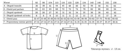 Футбольная форма POLAND OWN PRINT - 110