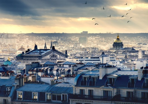 ФОТО ОБОИ PARIS ROOFS 1A F2XL 312x219 F11853