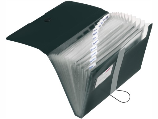 Папка-органайзер А4 Easy Orga с 12 отделениями HERLITZ