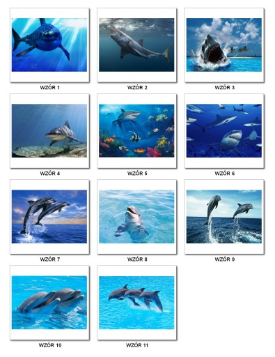 Dolphin Dolphin Dolphin Pafer Dolphin Wafer