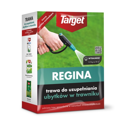 Target Nasiona trawy na ubytki trawnika 1kg