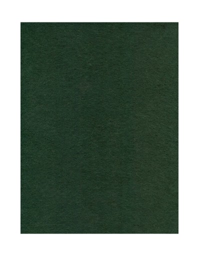 Filc dekoracyjny 2mm arkusz 30x40 cm ZIELONY (40)