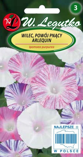 Wilec Powój pnący Arlekin pnącze nasiona 1g