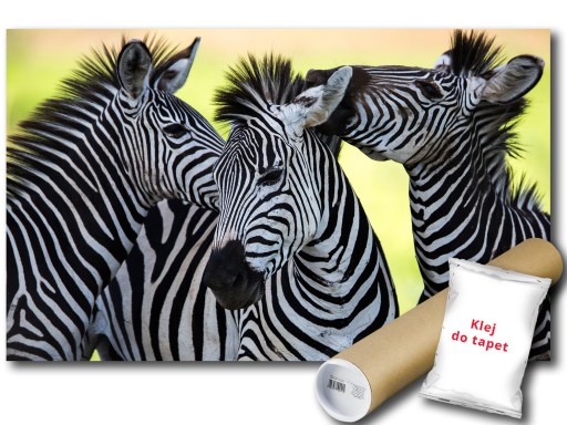 FOTOTAPETA ZEBRA ZEBRY 12C FXL 208x146 F3624