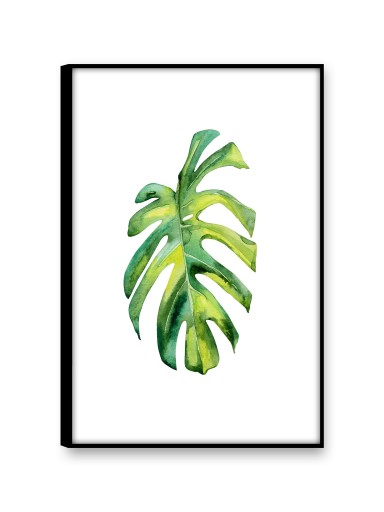 MONSTERA Obrazy na płótnie 30x45 Obraz nowoczesny