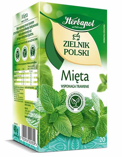 Herbata Herbapol Mięta Zielnik Polski Ex20