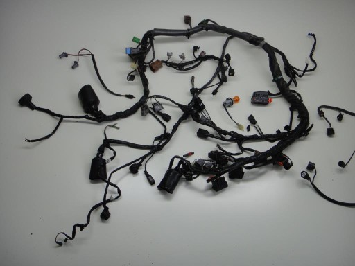 1215DDG20DGG20 - ЭЛЕКТРОПРОВОДКА KAWASAKI GTR 1400
