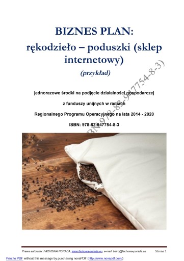 Biznesplan Rekodzielo Poduszki Sklep Www 39 90 Zl Allegro Pl Raty 0 Darmowa Dostawa Ze Smart Serock Stan Nowy Id Oferty 6958144565