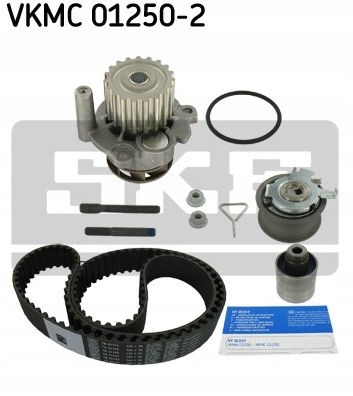 TUNING GEAR PUMP SKF FABIA OCTAVIA SUPERB 1.4 1.9TDI photo 2 - milautoparts-fr.ukrlive.com