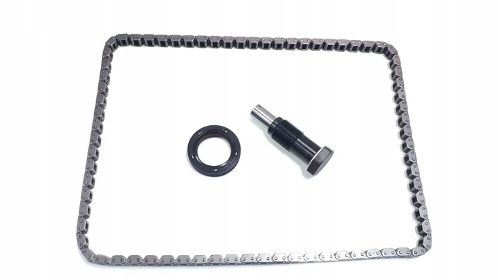 BORSEHUNG SET CHAIN VALVE CONTROL SYSTEM VW 1.2 TSI (WITH KOLEM) photo 5 - milautoparts-fr.ukrlive.com