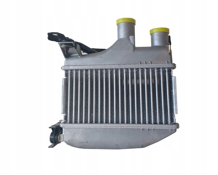 Toyota corolla 01-07 1.4d intercooler 1794033020 cheap | Shop online ❱  XDALYS