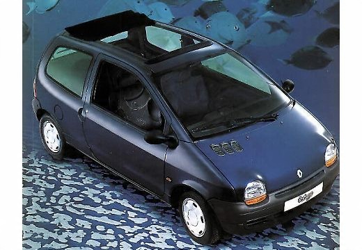 Renault Twingo крыша