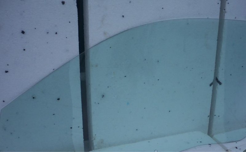 фото №1, Скло bok двері бічна mitsubishi temperlite