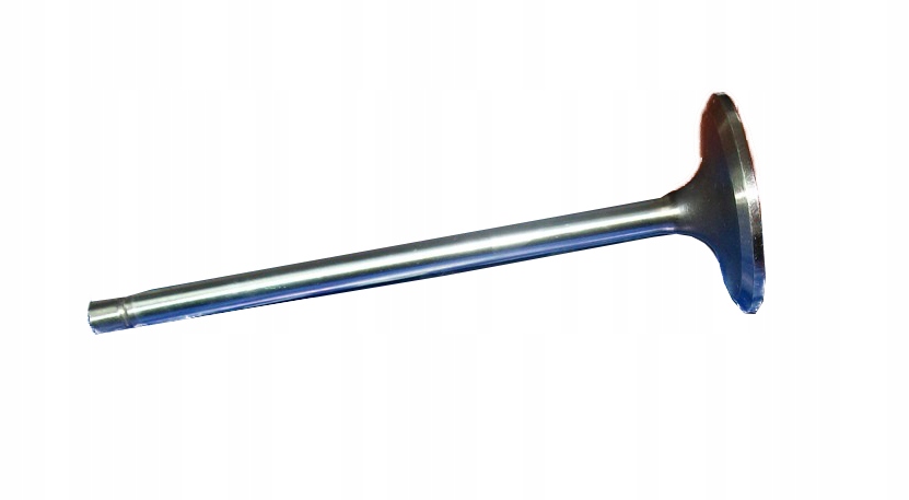 Клапан впускний  renault premium major 5010295349 Доставка