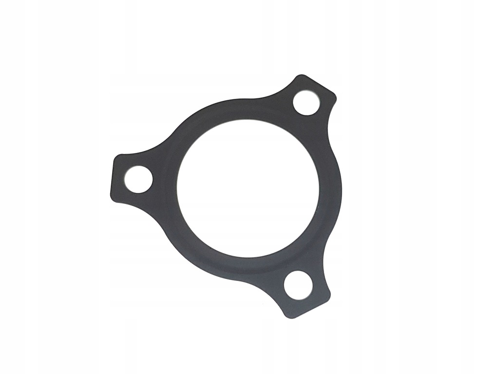 фото №1, Dyna 100 87-95 прокладка корпус термостата