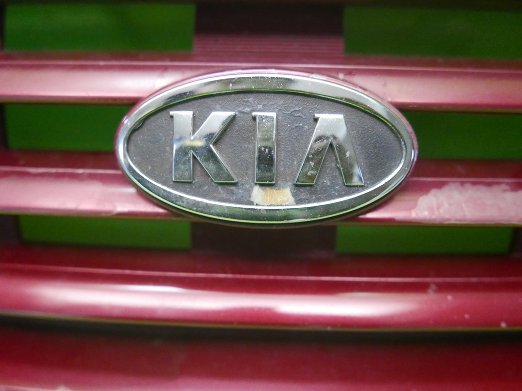 фото №8, Решётка радиатора решётка радиатора радиатора kia carnival i 01-04 r9 fl