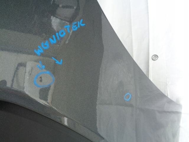 фото №3, C4 cactus двері ліва задні задні задня ktpd